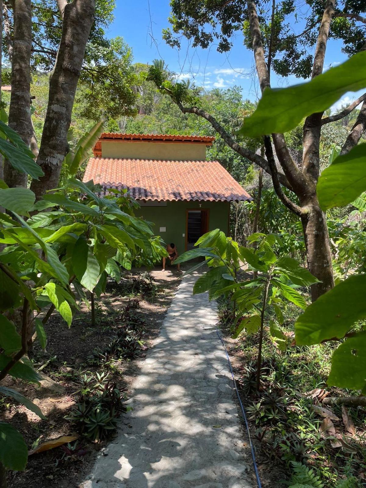 Отель Paraiso Da Mata Итакаре Номер фото